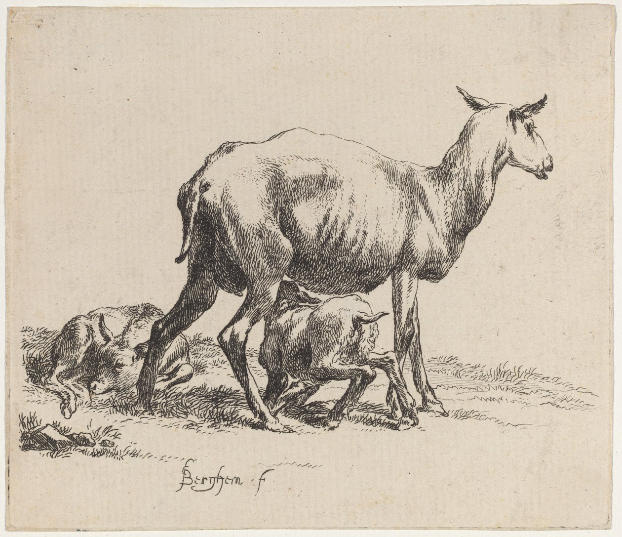 Ovelha amamentando seu cordeiro de Nicolaes Pietersz Berchem
