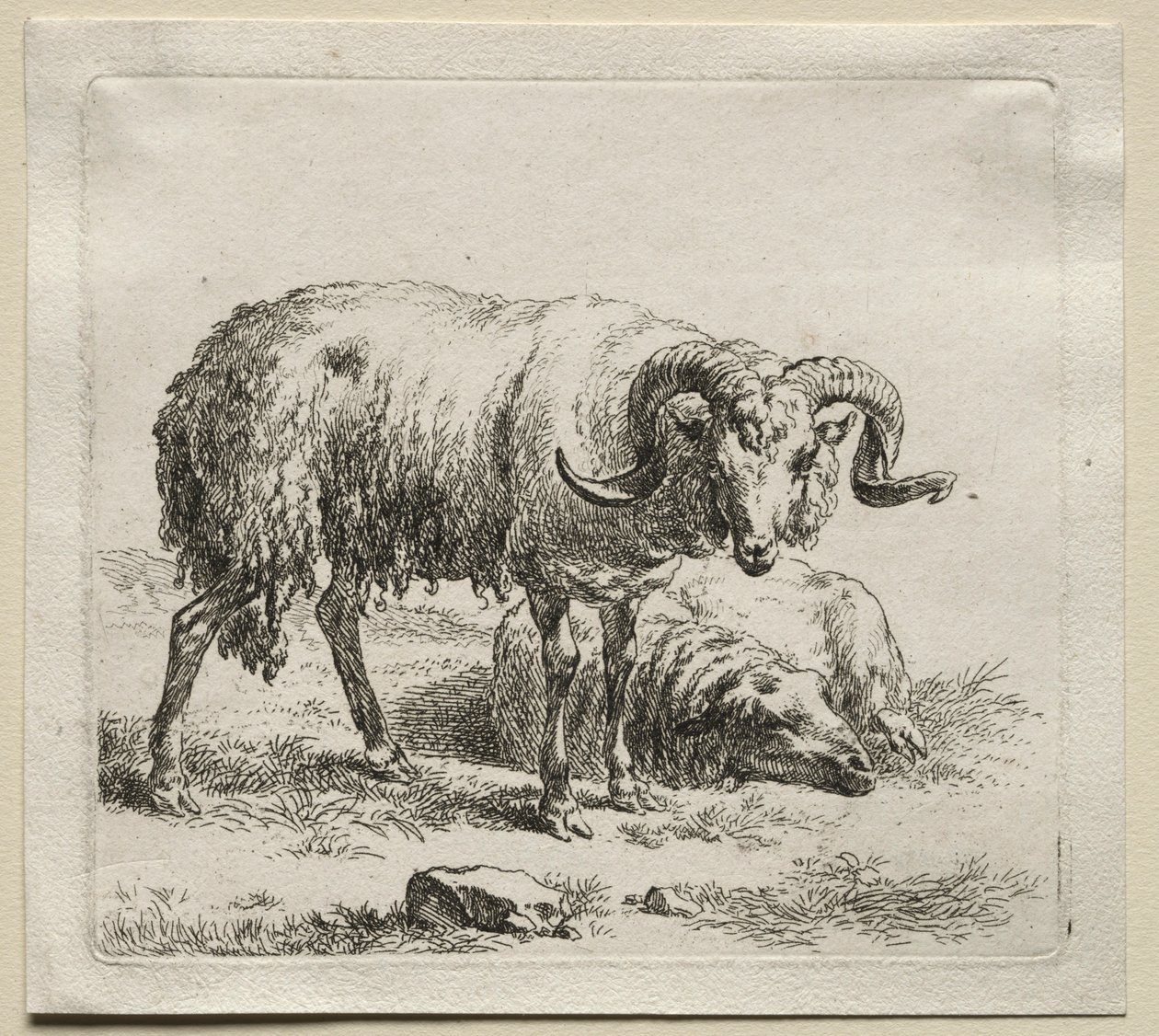 Carneiro e ovelha. de Nicolaes Pietersz. Berchem