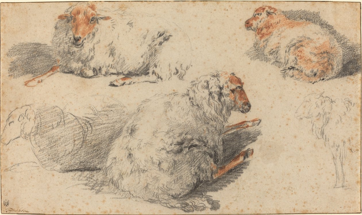 Ovelha de Nicolaes Pietersz Berchem