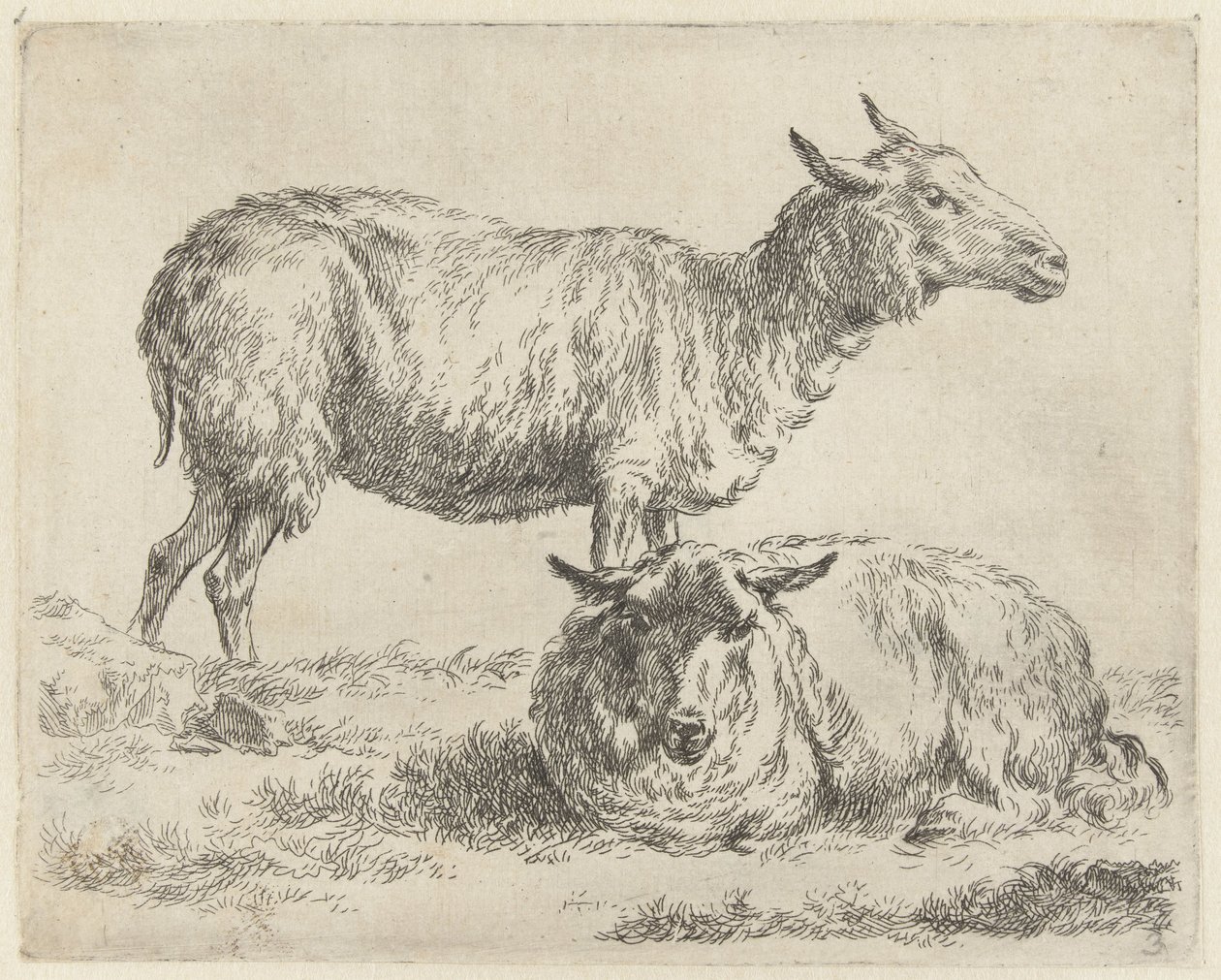 Staand en liggend schaap Schapen (título da série) Animais desenhados à vida e impressos na água pelo ar forte pelo Studio and Art of Nicolai Berchem (título da série) de Nicolaes Pietersz Berchem