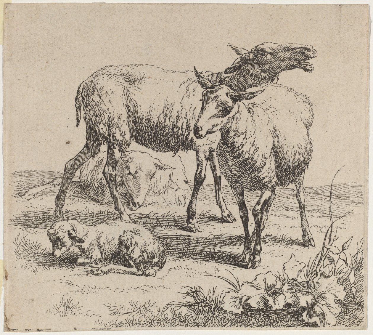 Três ovelhas e um cordeiro de Nicolaes Pietersz Berchem