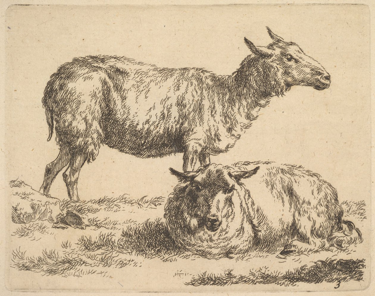 do conjunto de ovelhas. de Nicolaes Pietersz. Berchem