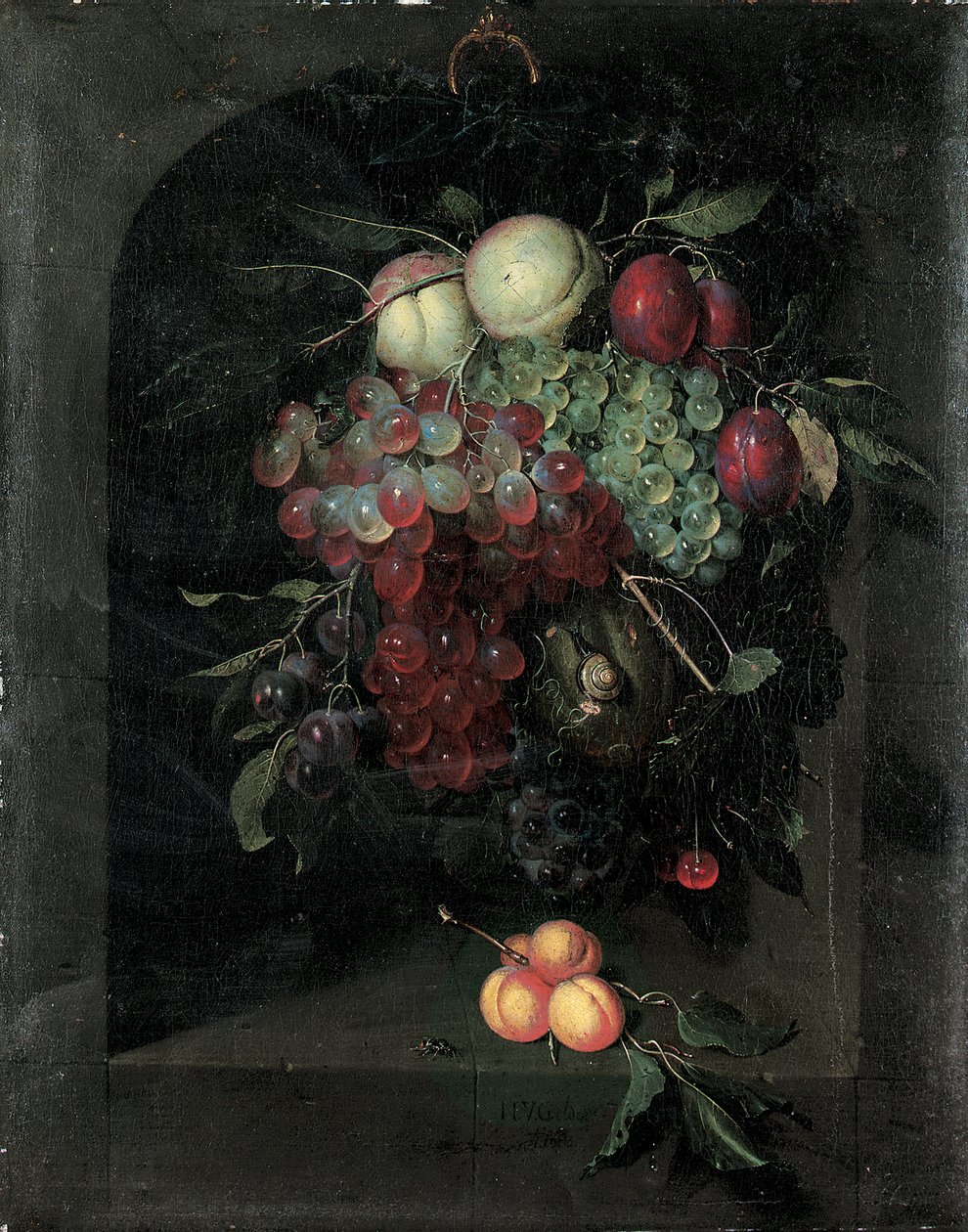 Ganhos de uvas, pêssegos, ameixas e cerejas com um caracol em um nicho de pedra com um monte de damascos e abelhas em uma borda, 1666 de Nicolaes Van Gelder