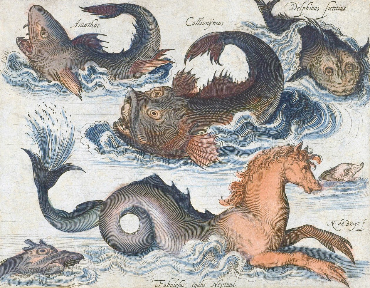 Cavalo-marinho e criaturas aquáticas imaginárias de Nicolaes de (after) Bruyn