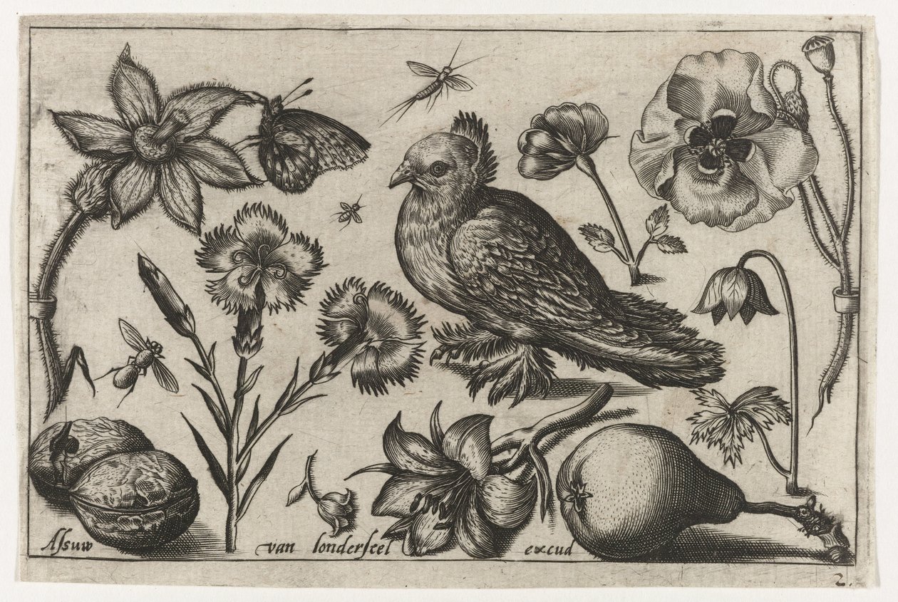 Flores, uma pêra e um pombo
Pássaros, flores, insectos, etc. (título da série) de Nicolaes de Bruyn (possibly)