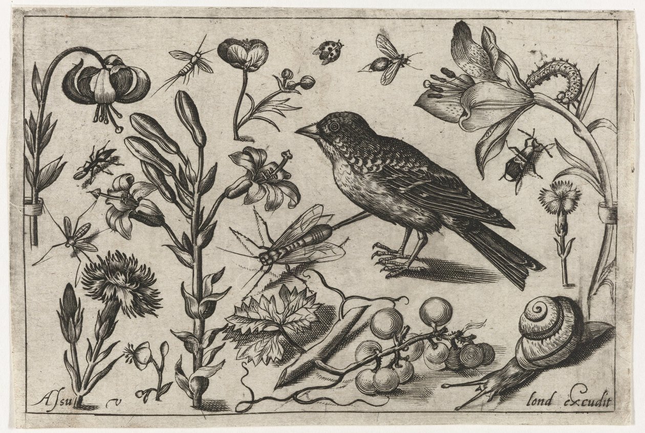 Flores, um caracol e um pássaro Pássaros, flores, insetos etc. (título da série) de Nicolaes de Bruyn (possibly)