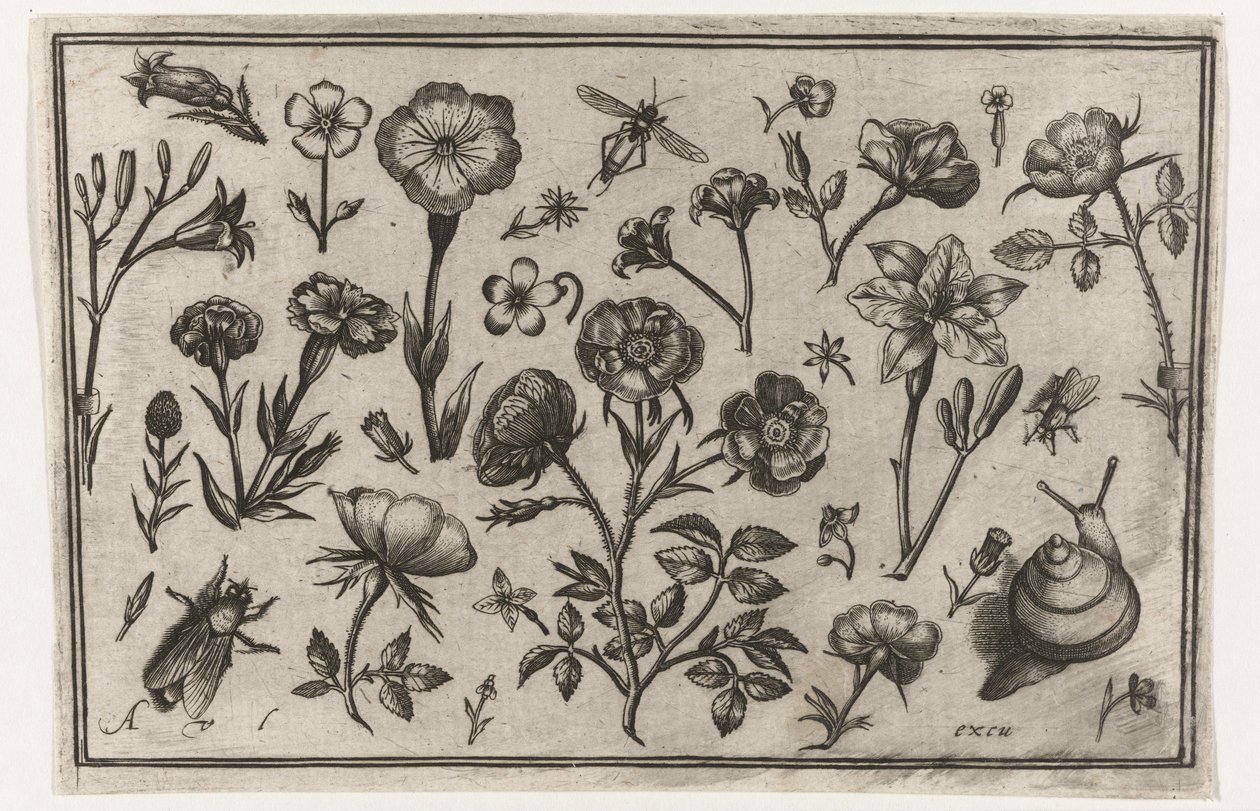 Flores, uma mosca e um caracol
Pássaros, flores, insectos, etc. (título da série) de Nicolaes de Bruyn (possibly)