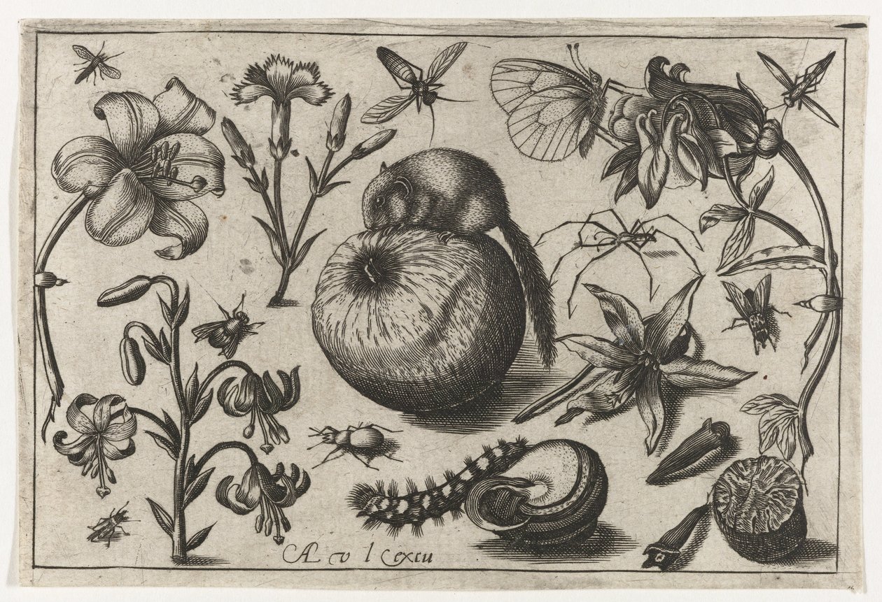 Flores e um rato em uma maçã Pássaros, flores, insetos etc. (título da série) de Nicolaes de Bruyn (possibly)
