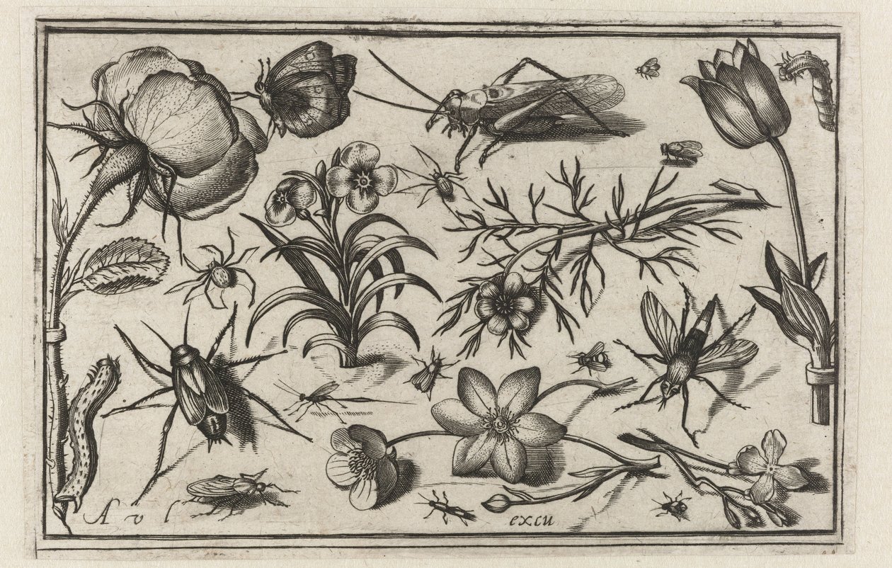 Flores e insectos
Pássaros, flores, insectos, etc. (título da série) de Nicolaes de Bruyn (possibly)