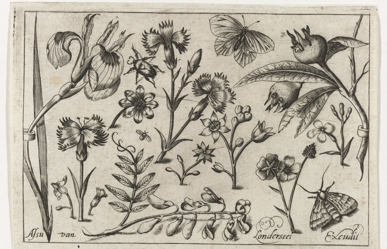 Flores e borboletas
Pássaros, flores, insectos, etc. (título da série) de Nicolaes de Bruyn (possibly)
