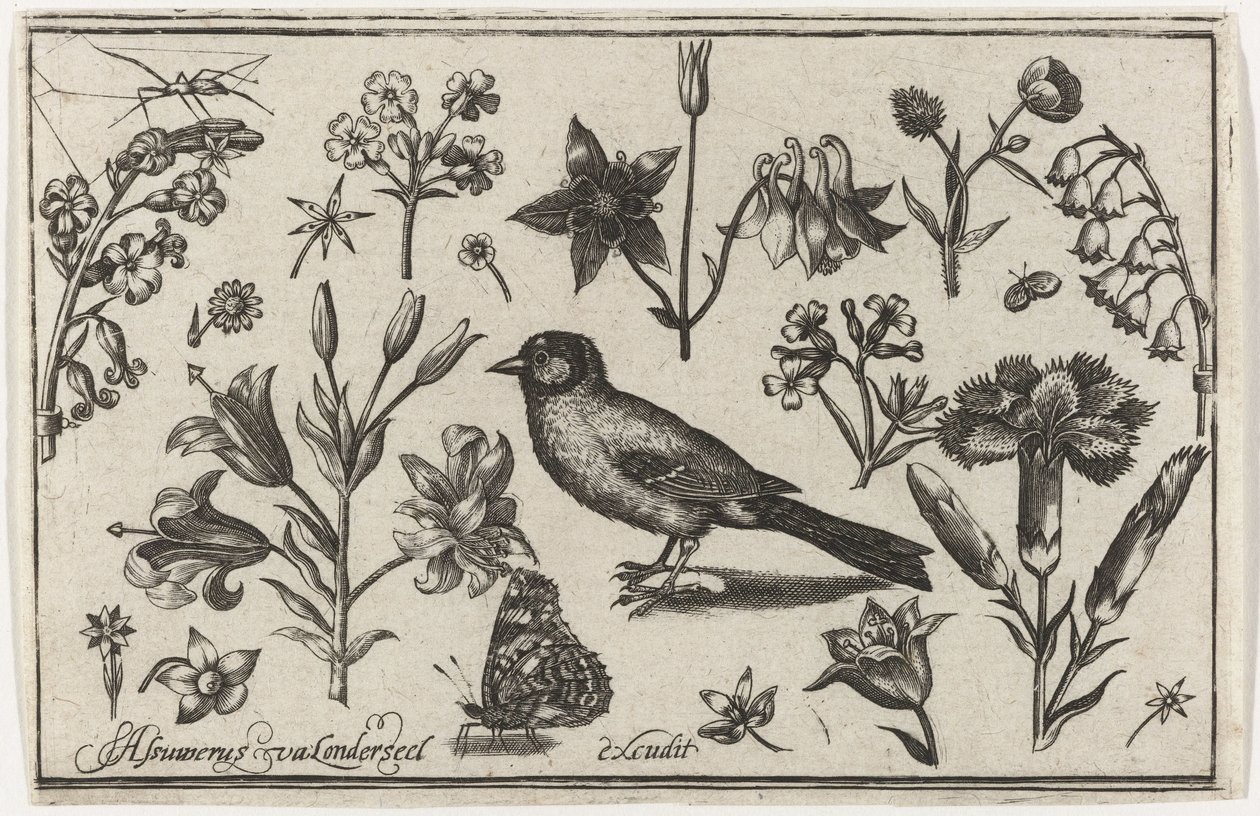 Flores, borboleta e um pássaro Pássaros, flores, insetos etc. (título da série) de Nicolaes de Bruyn (possibly)