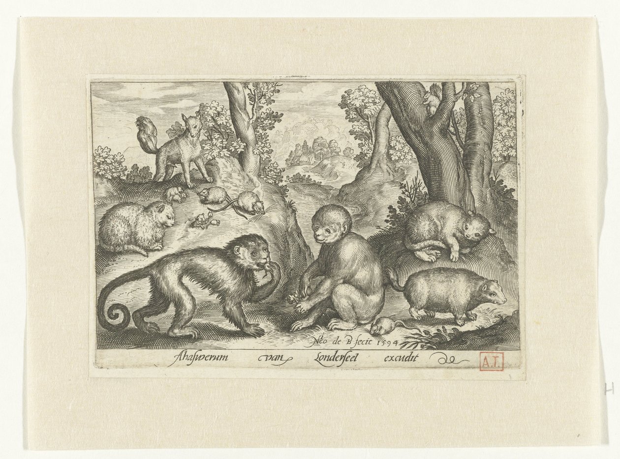 Macacos, gatos e ratos
Animalivm qvadrvpedvm (título da série)
Animais em paisagens (título da série) de Nicolaes de Bruyn