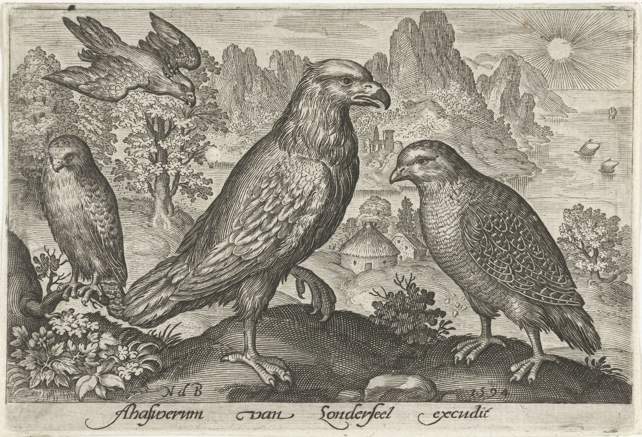 Águia e outras aves de rapina Pássaros e insetos (título da série) de Nicolaes de Bruyn