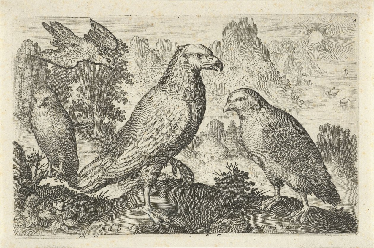 Águia e outras aves de rapina
Aves e insectos (título da série) de Nicolaes de Bruyn