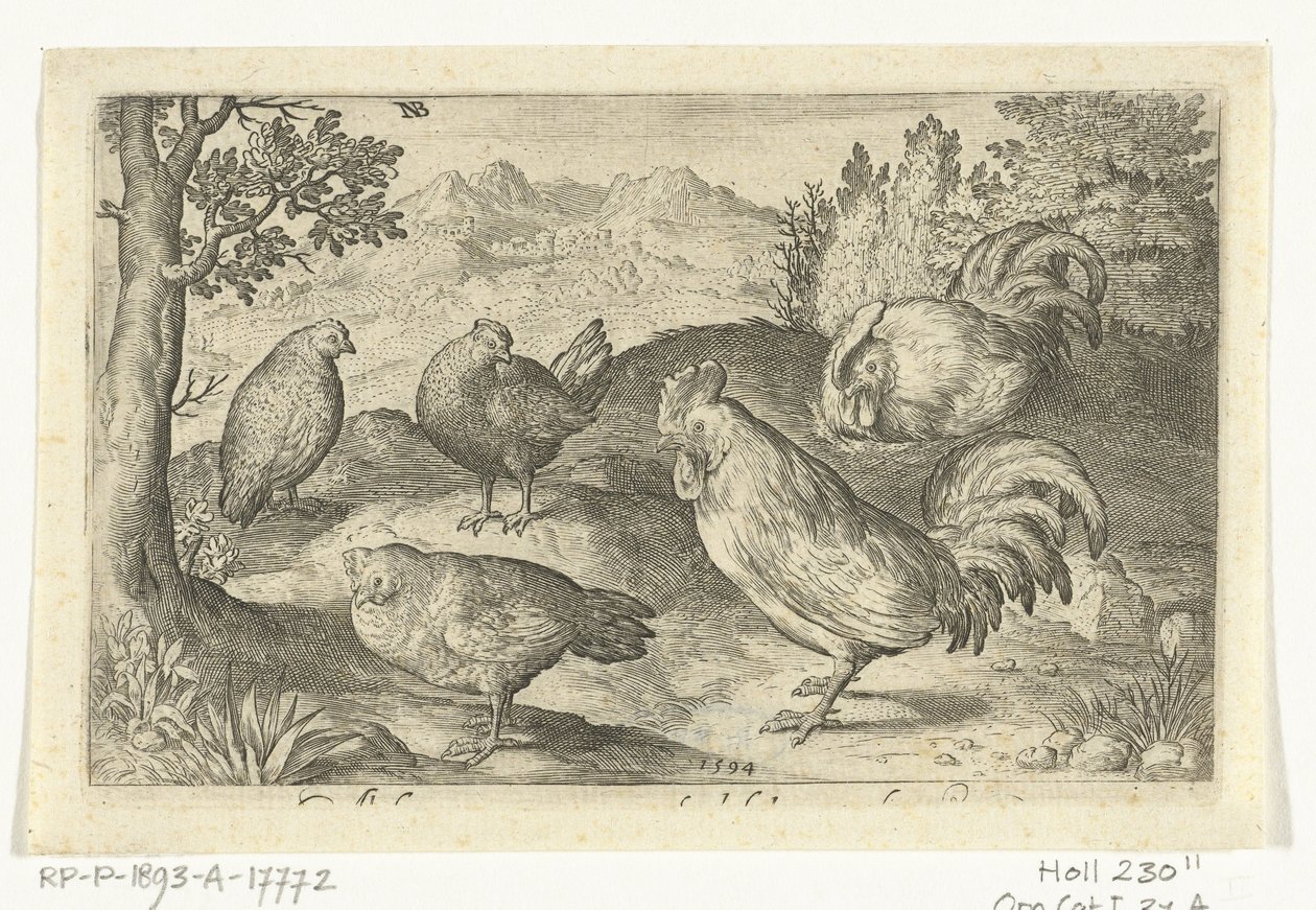Três galinhas e dois galos Pássaros e insetos (título da série) de Nicolaes de Bruyn