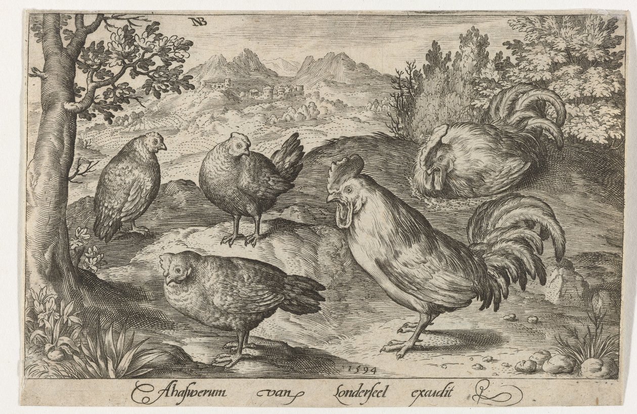 Três galinhas e dois galos Pássaros e insetos (título da série) de Nicolaes de Bruyn