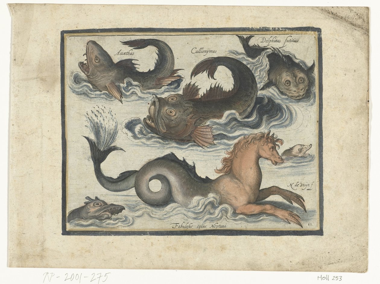 Fantásticos animais aquáticos, incluindo o cavalo marinho
Libelivs varia Genera piscium complectens (título da série)
Peixes de água doce, peixes de mar, sapos, crustáceos e criaturas do mar (título da série) de Nicolaes de Bruyn