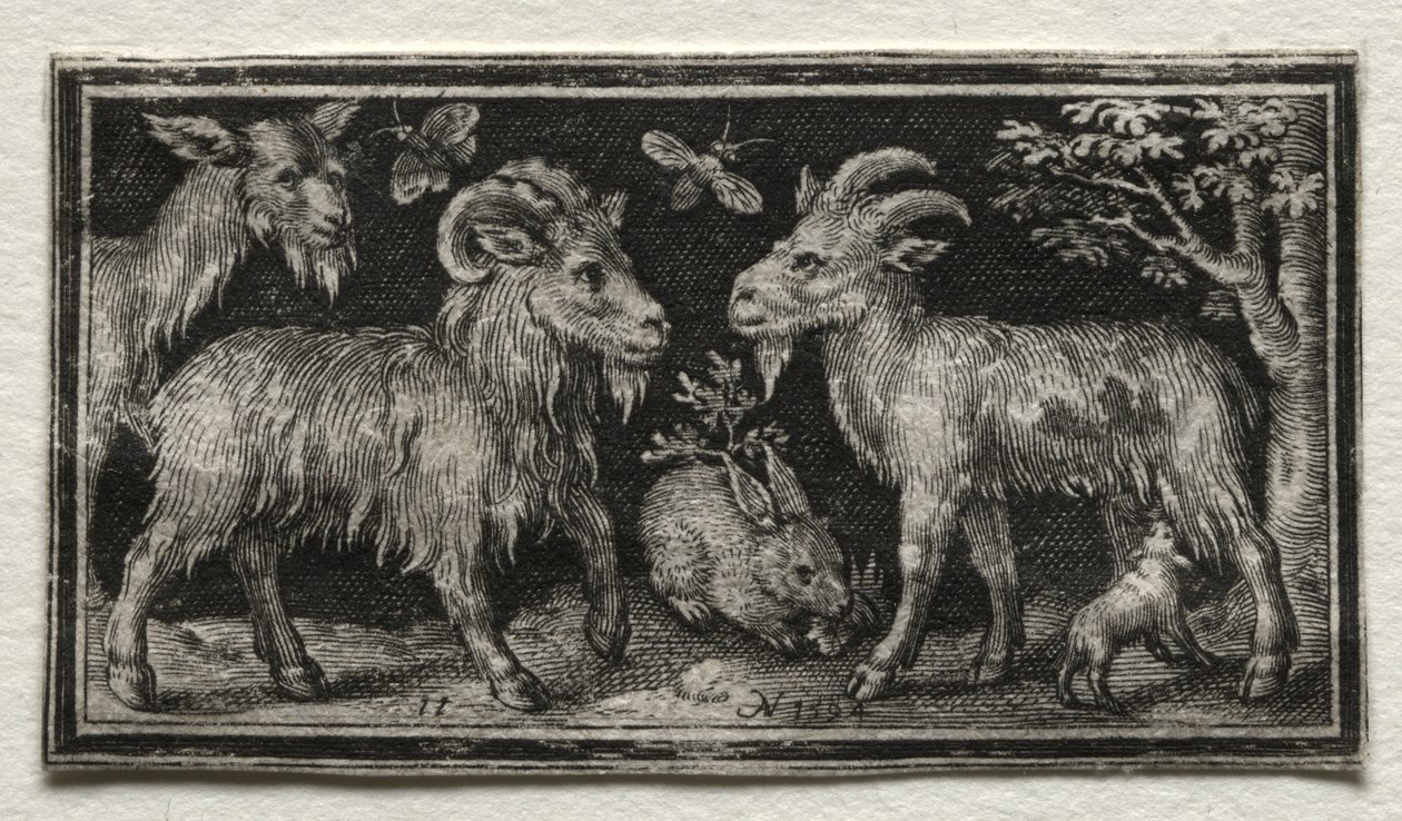 cabras e lebre de Nicolaes de Bruyn