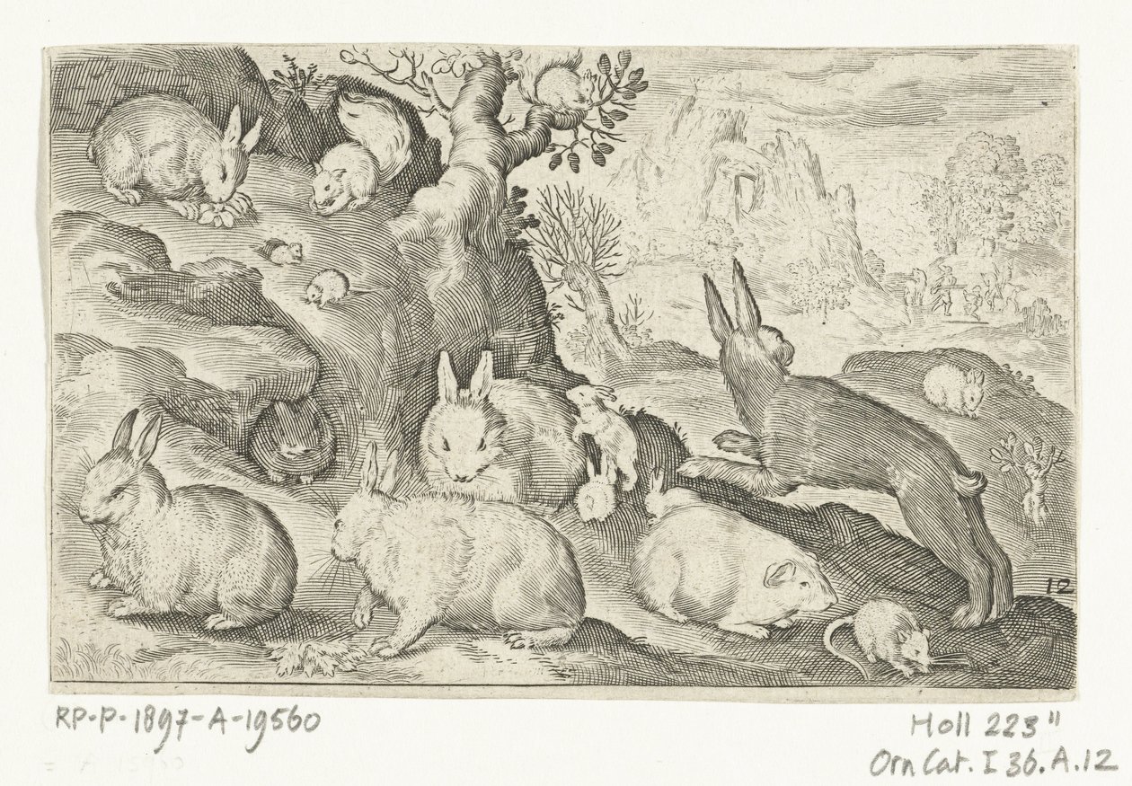 Coelhos, esquilo, porquinho-da-índia e rato
Animalivm qvadrvpedvm (título da série)
Animais em paisagens (título da série) de Nicolaes de Bruyn