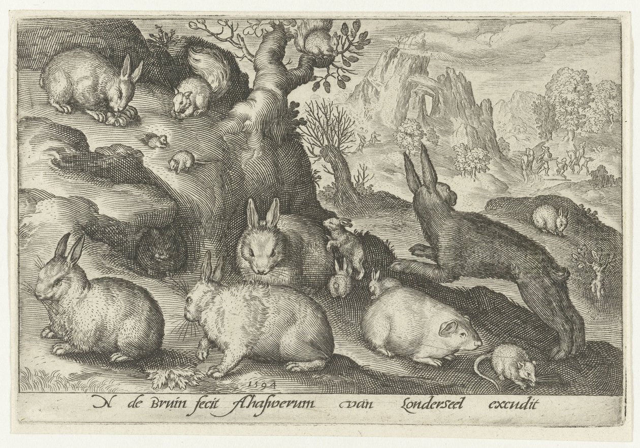 Coelhos, esquilo, porquinho-da-índia e rato
Animalivm qvadrvpedvm (título da série)
Animais em paisagens (título da série) de Nicolaes de Bruyn