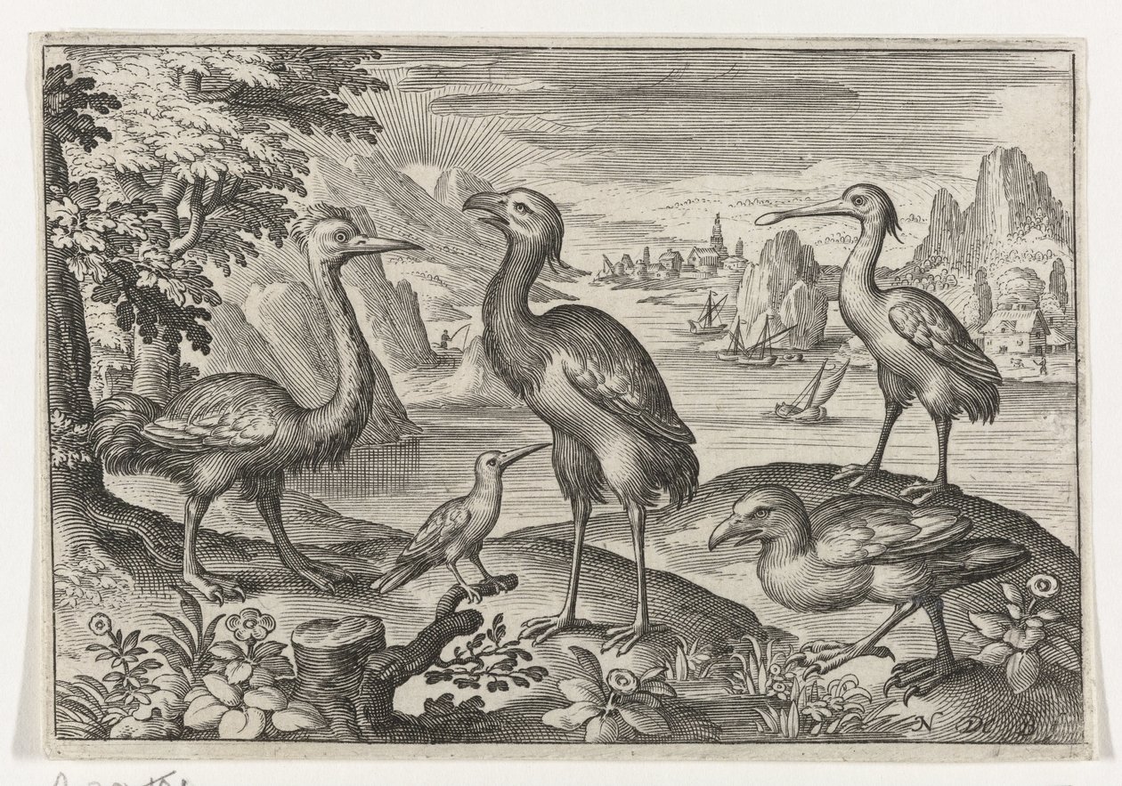 Guindaste coroado entre duas avestruzes Pássaros e insetos (título da série) de Nicolaes de Bruyn