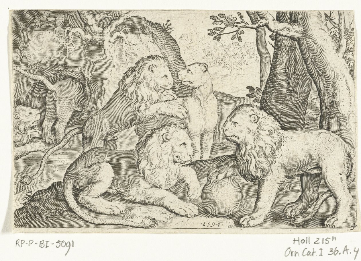 Leões
Animalivm qvadrvpedvm (título da série)
Animais em paisagens (título da série) de Nicolaes de Bruyn
