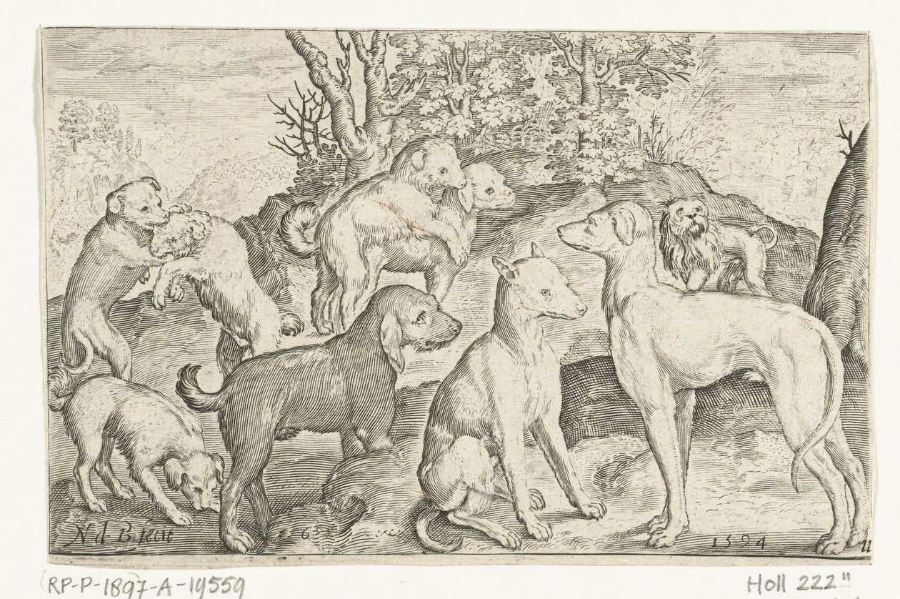 Nove cães
Animalivm qvadrvpedvm (título da série)
Animais em paisagens (título da série) de Nicolaes de Bruyn