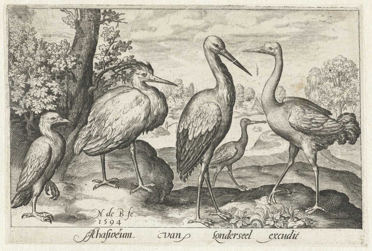 Cegonha, guindaste, garça e colhereiro
Aves e insectos (título da série) de Nicolaes de Bruyn