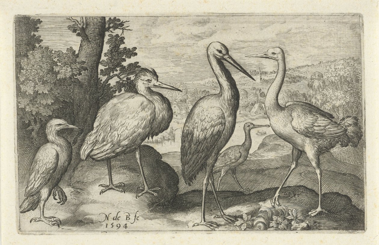 Cegonha, guindaste, garça e colhereiro
Aves e insectos (título da série) de Nicolaes de Bruyn