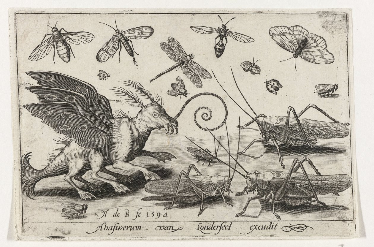 Gafanhotos e criatura de fantasia com asas e pés palmados Pássaros e insetos (título da série) de Nicolaes de Bruyn
