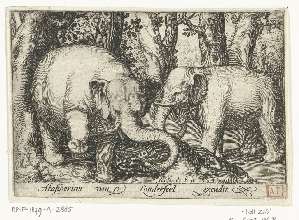 Dois elefantes Animalivm qvadrvpedvm (título da série) Animais em paisagens (título da série) de Nicolaes de Bruyn