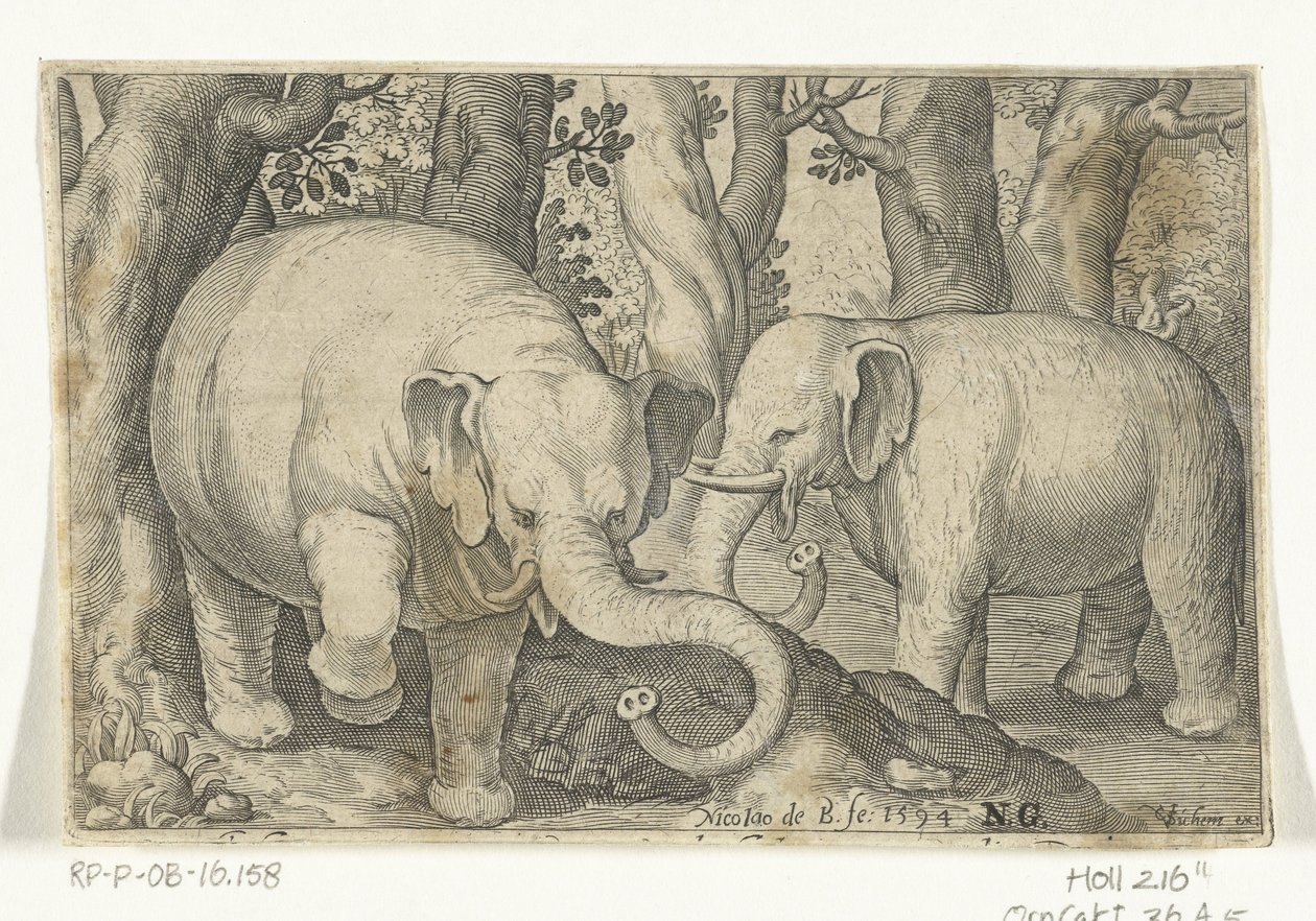 Dois elefantes
Animalivm qvadrvpedvm (título da série)
Animais em paisagens (título da série) de Nicolaes de Bruyn