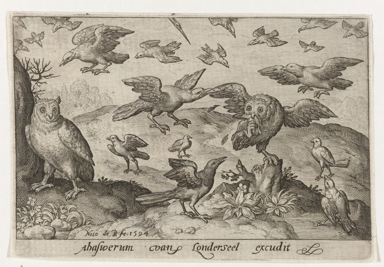 Coruja com presa predada por outras aves Pássaros e insetos (título da série) de Nicolaes de Bruyn