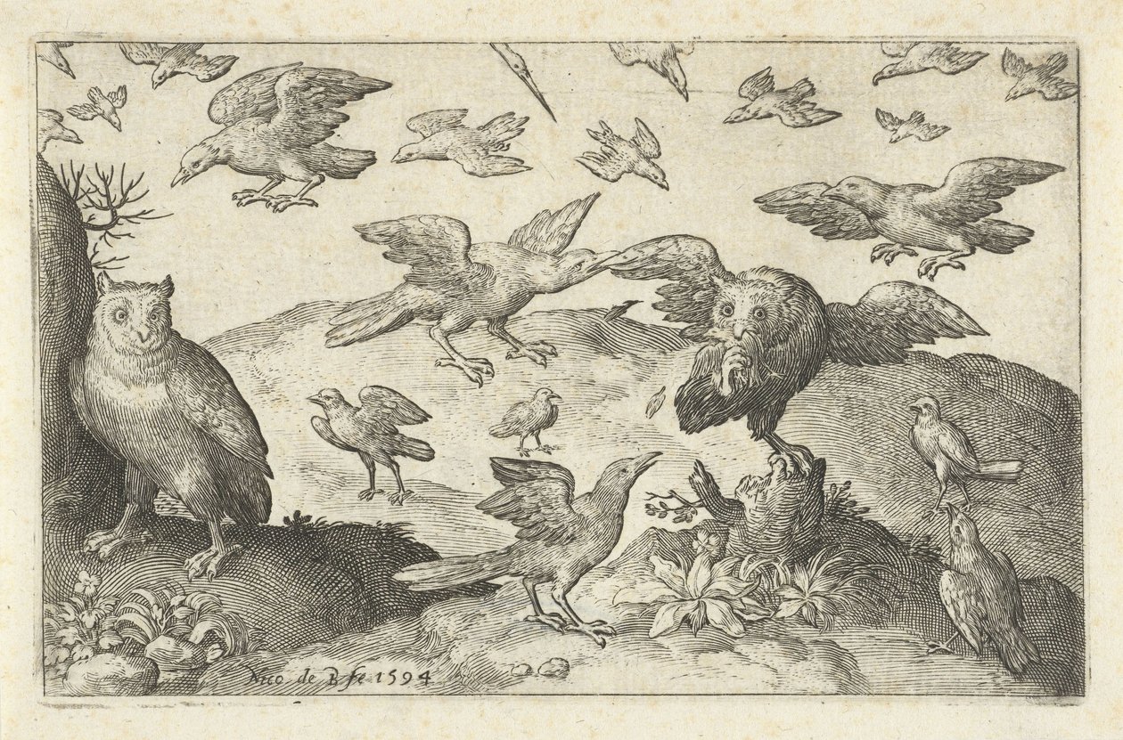 Coruja com presa predada por outras aves Pássaros e insetos (título da série) de Nicolaes de Bruyn