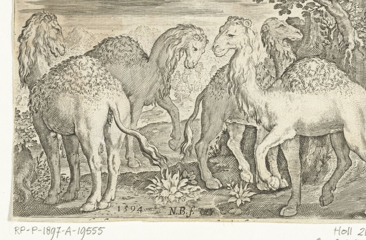 Quatro dromedários Animalivm qvadrvpedvm (título da série) Animais em paisagens (título da série) de Nicolaes de Bruyn