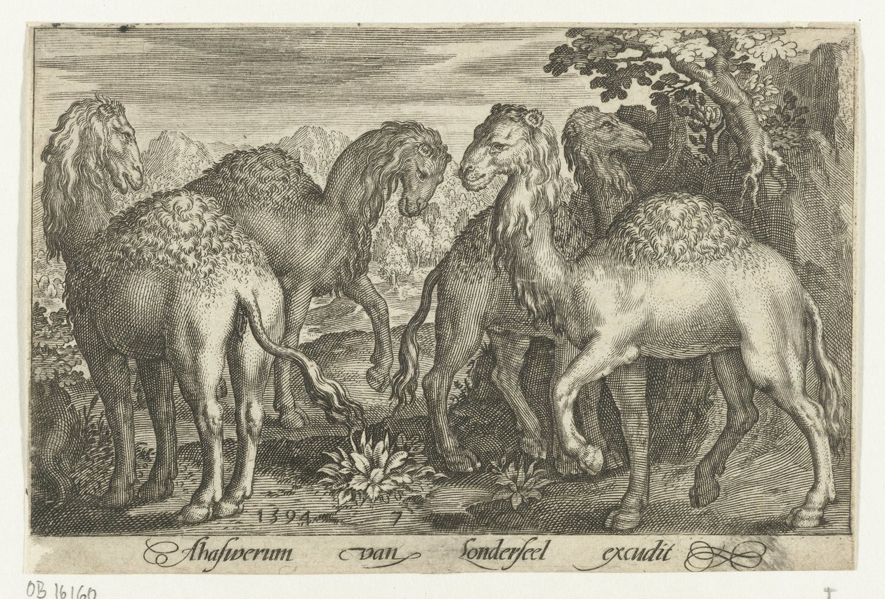 Quatro dromedários Animalivm qvadrvpedvm (título da série) Animais em paisagens (título da série) de Nicolaes de Bruyn
