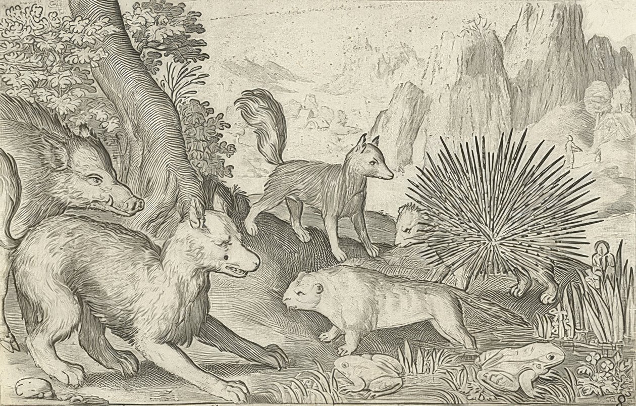 Javalis, raposas, castores, porcos-espinhos e sapos. 1621 de Nicolaes de Bruyn