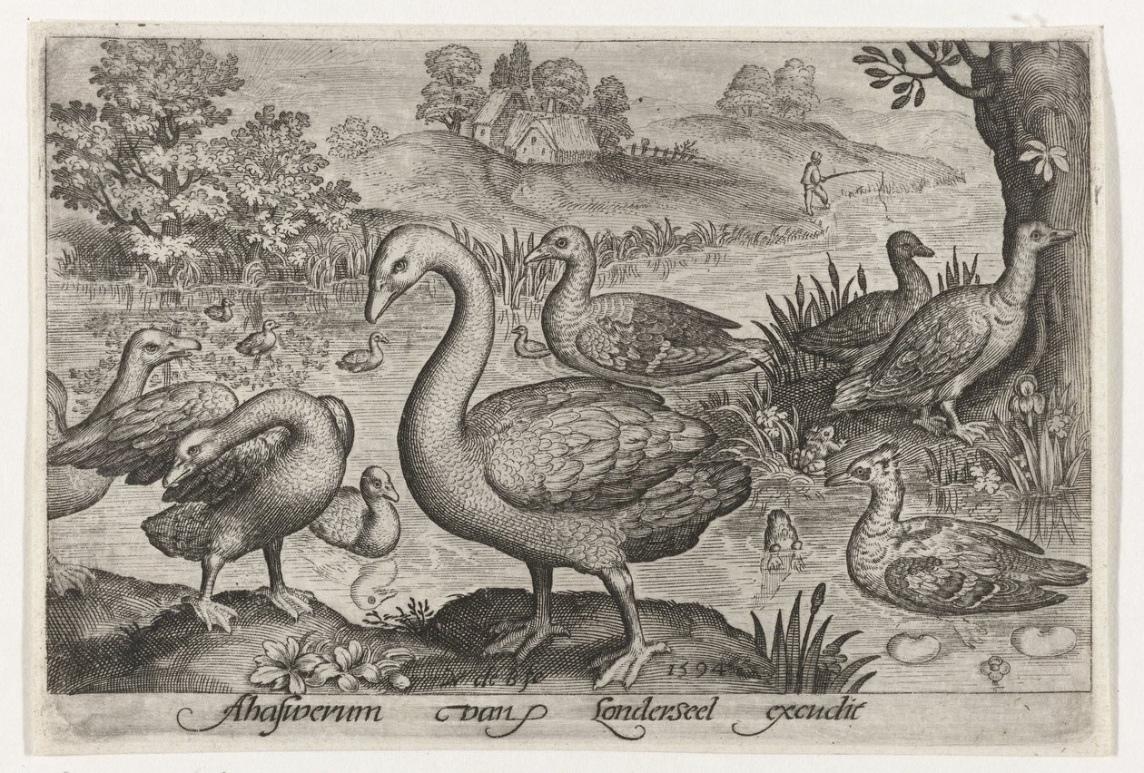 Cisnes, gansos e patos perto da água
Aves e insectos (título da série) de Nicolaes de Bruyn