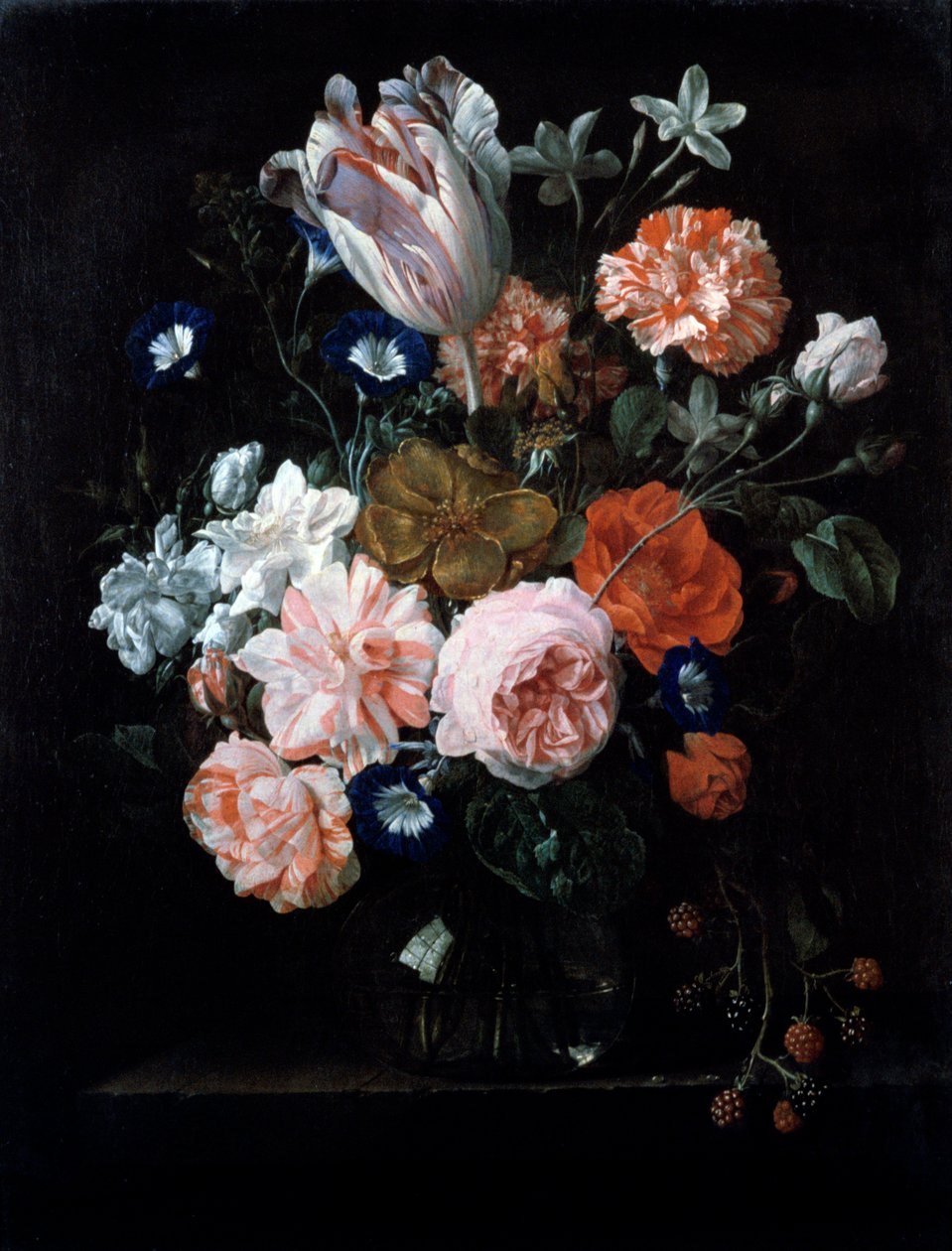 Uma tulipa, cravos e corriola em um vaso de vidro, século XVII. de Nicolaes van Veerendael