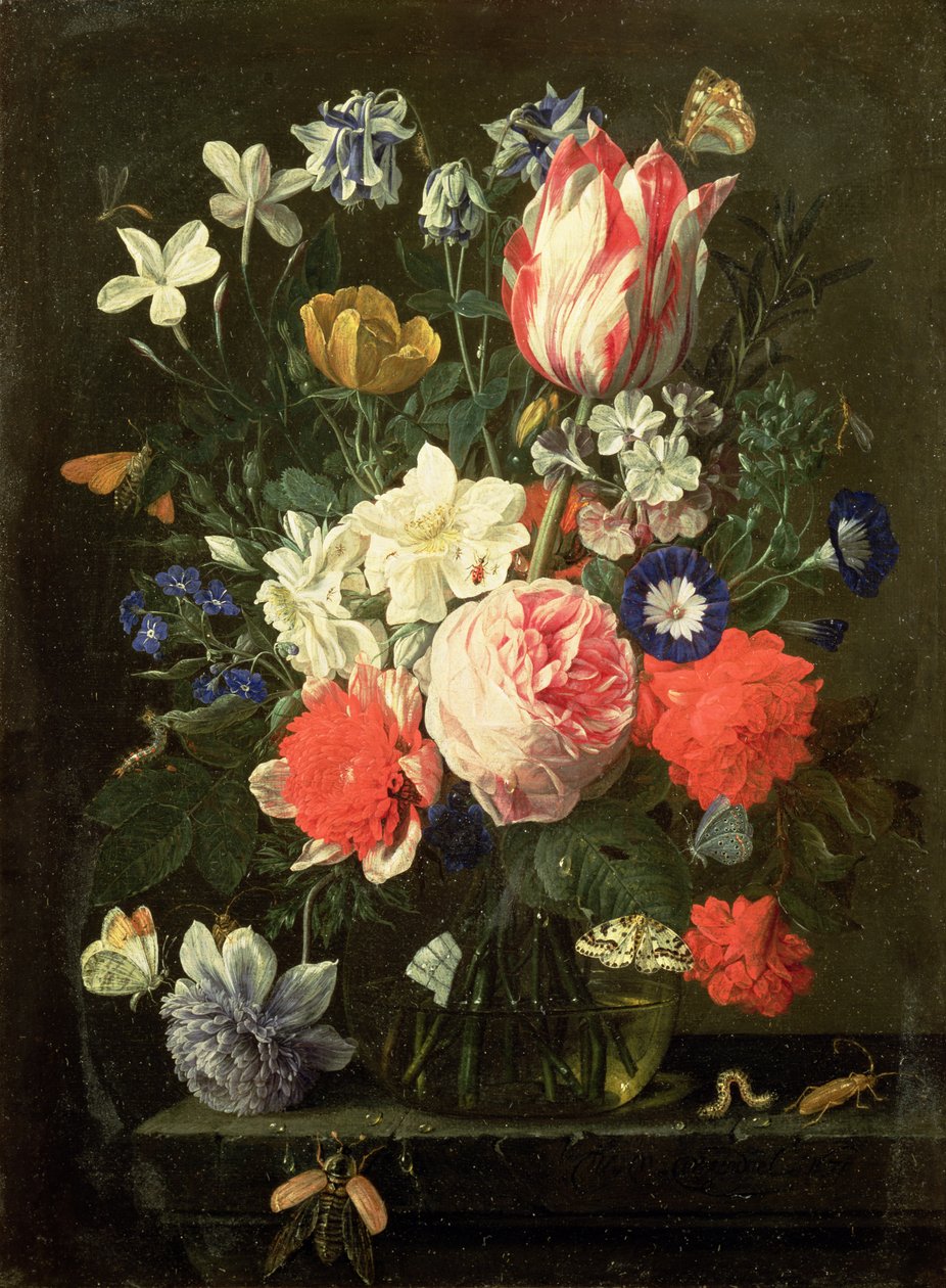 Imagem desconhecida de Nicolaes van Veerendael