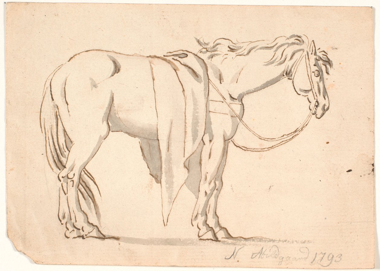 Um cavalo com um cobertor nele de Nicolai Abildgaard