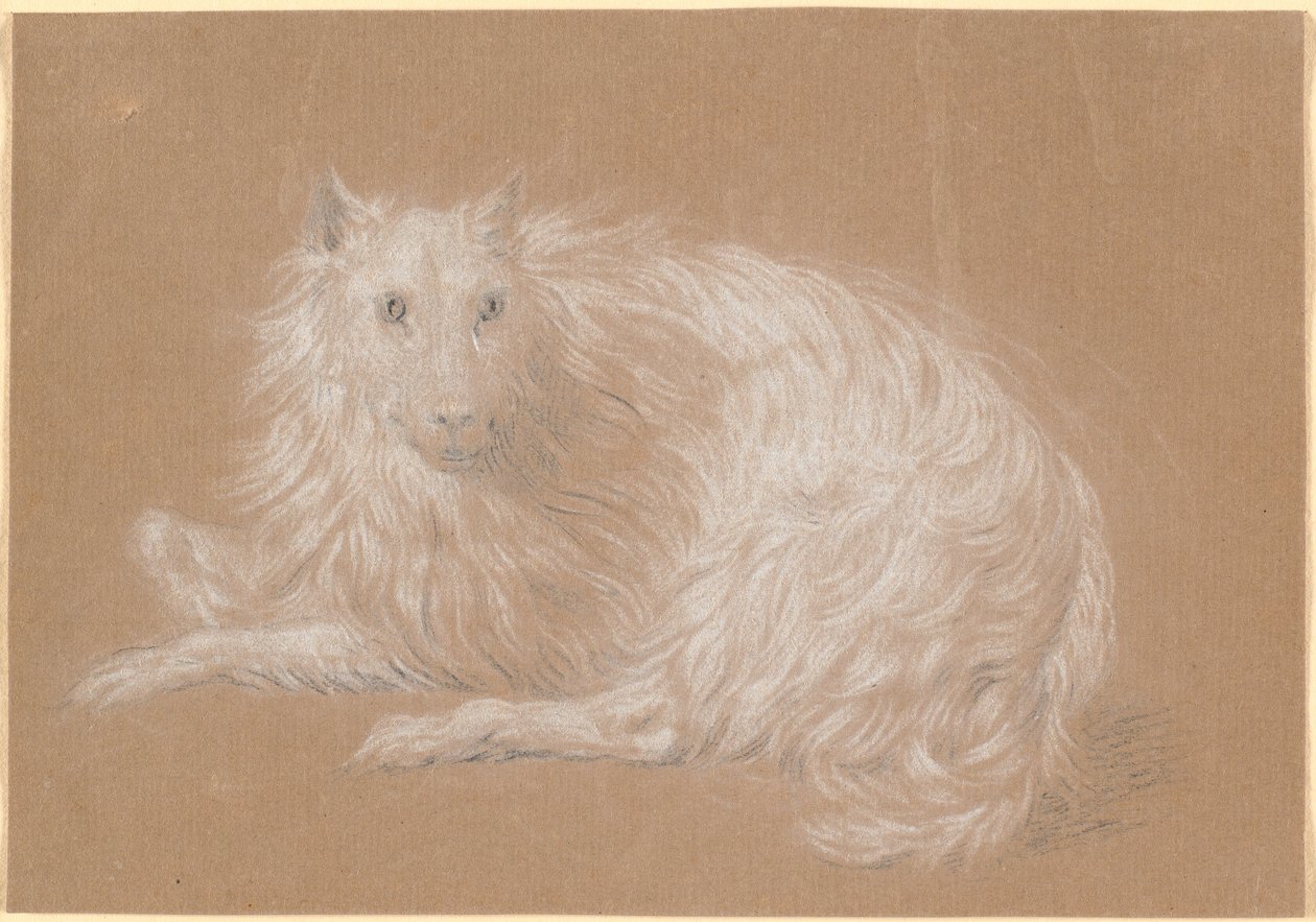 Um cão de pêlo comprido deitado de Nicolai Abildgaard