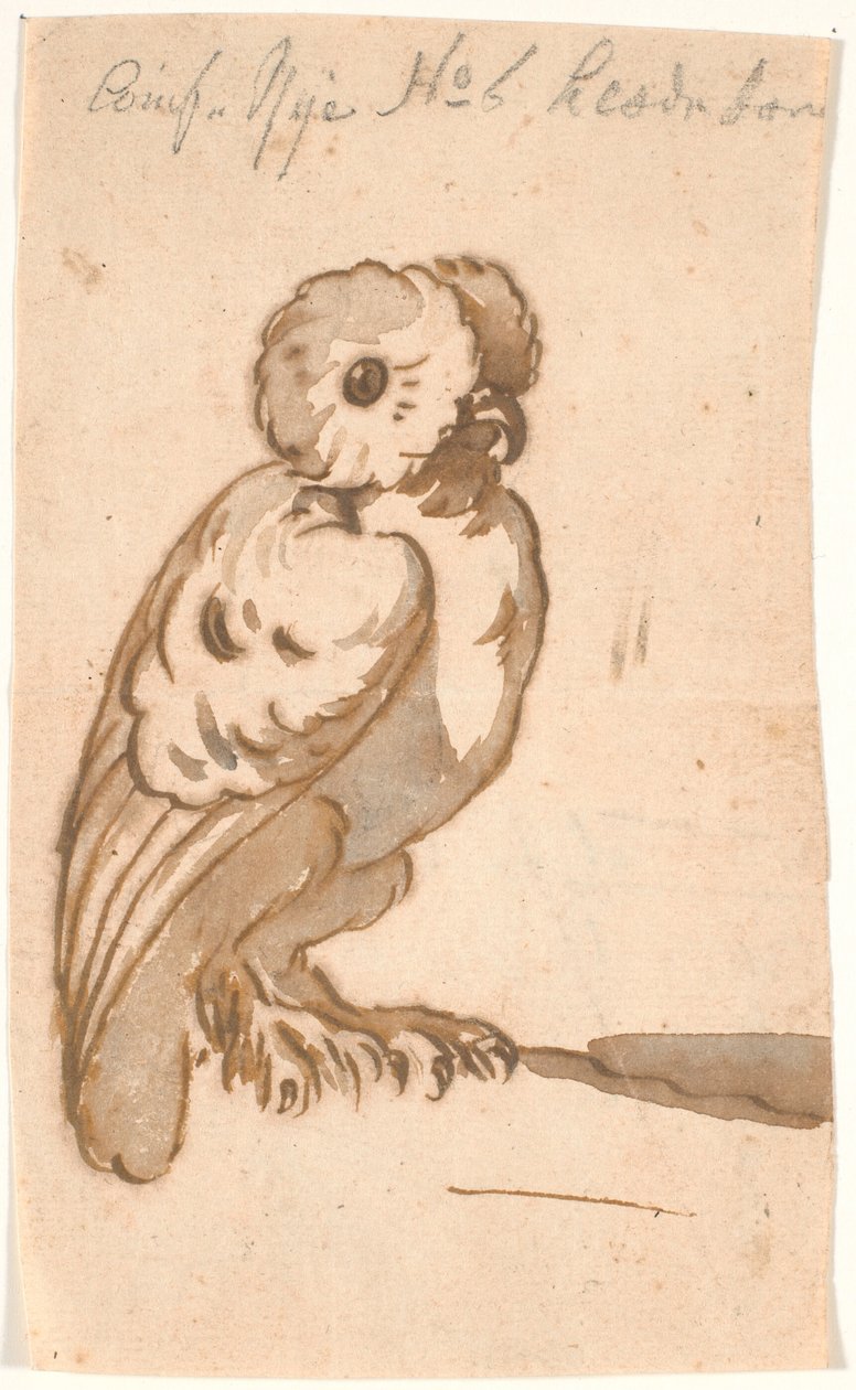 Uma coruja de Nicolai Abildgaard