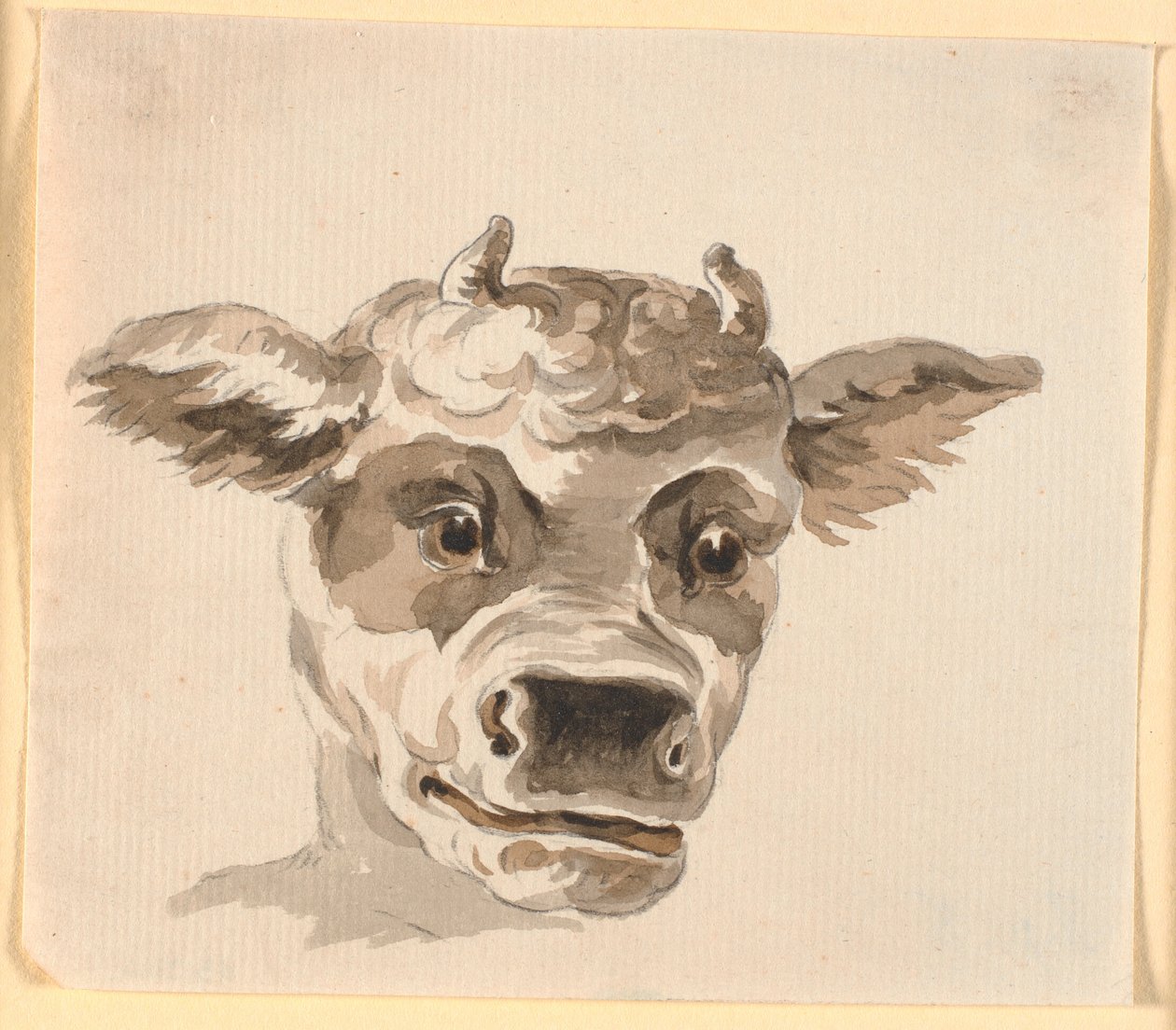 cabeça do Minotauro de Nicolai Abildgaard