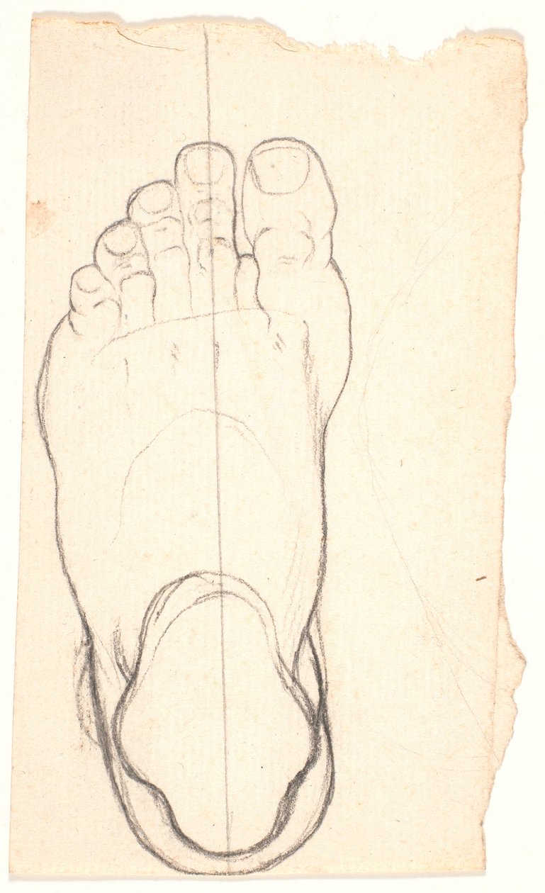 Esboço de um pé visto de cima. O calcanhar t.v. de Nicolai Abildgaard