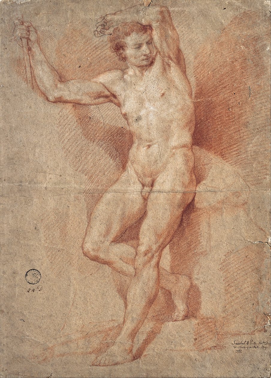 Nu masculino ereto de Nicolas Guibal