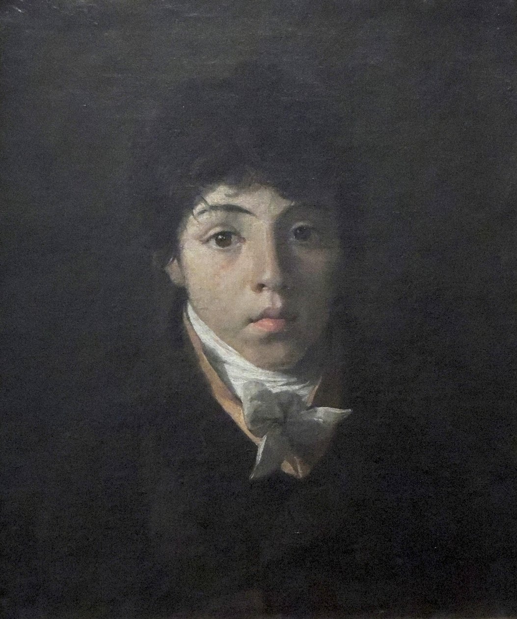 Retrato do jovem Teodoro Taunay de Nicolas Antoine Taunay