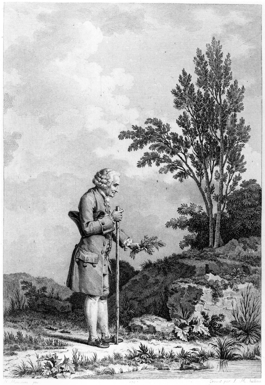 Jean-Jacques Rousseau (1712-78) Recolhendo Ervas em Ermenonville, junho 1778, gravado por Louis Michel Halbou (n.1730) de Nicolas Andre Monsiau