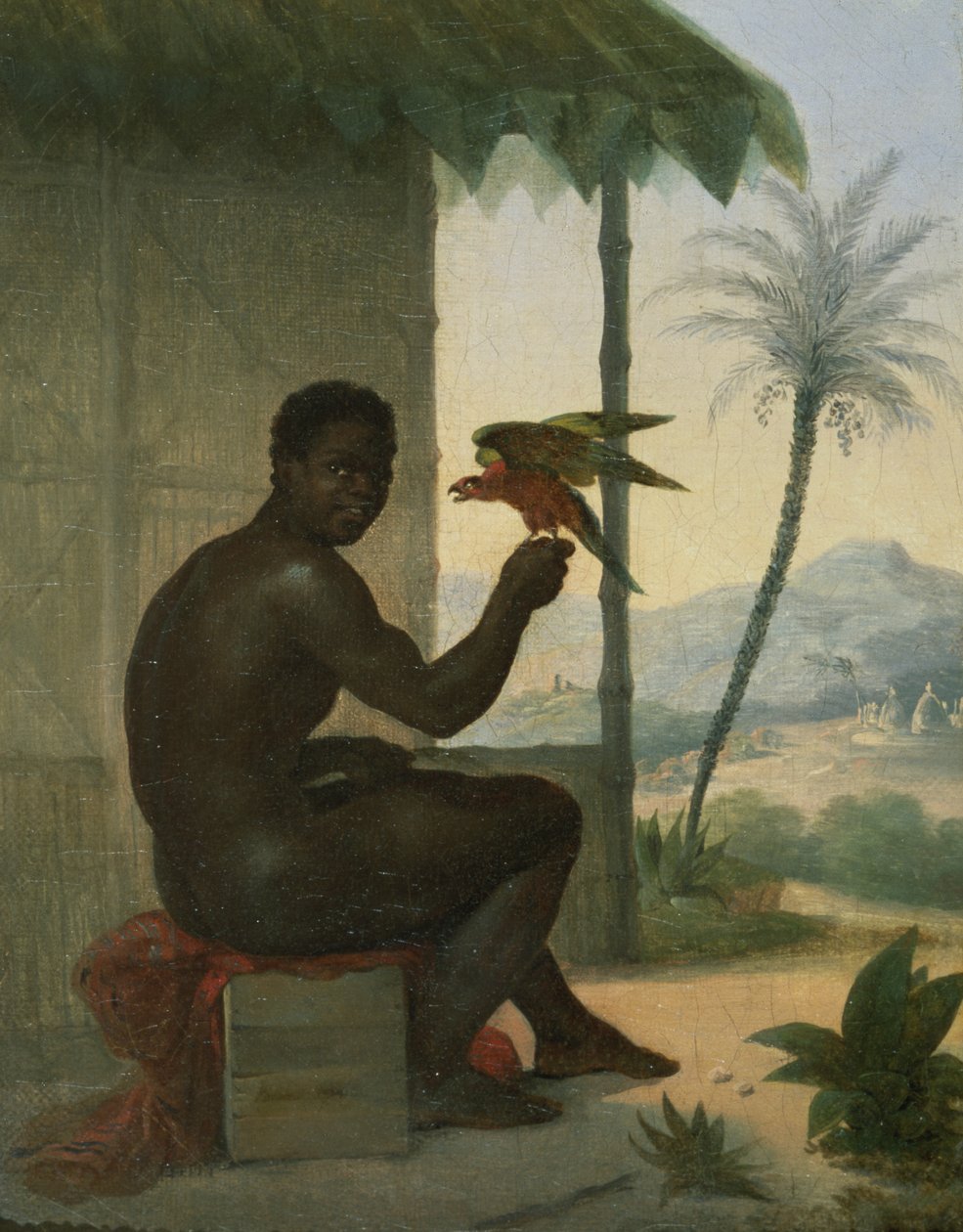 Preto brasileiro com Pássaro Tropical de Nicolas Antoine Taunay