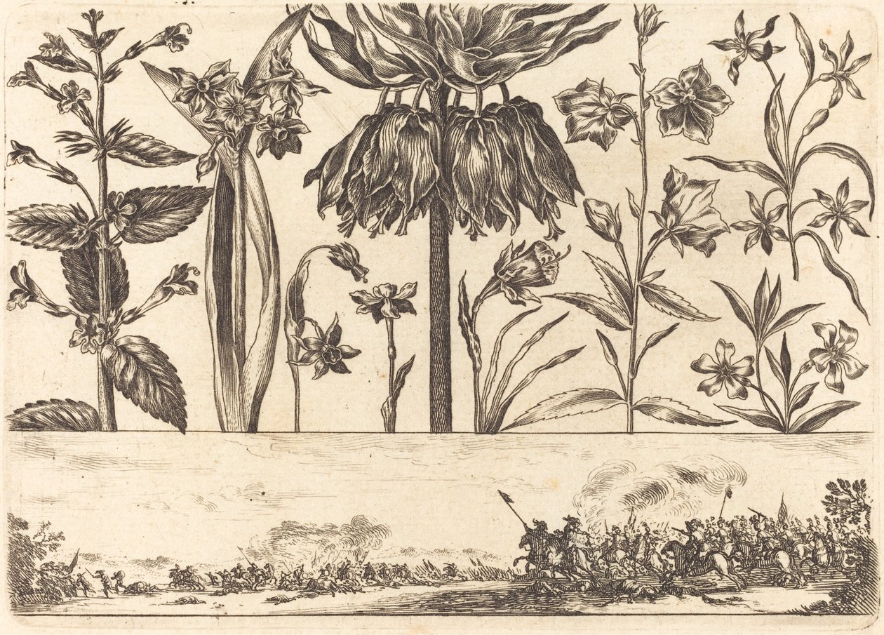 Estampa de Flores nº 10 de Nicolas Cochin after Balthasar Moncornet